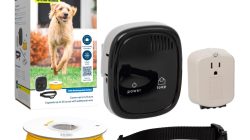 In-Ground Fence System – Containment – PetSafe Solution