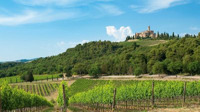 Vineyard & Wine Tour – Tuscany Italy – Banfi Experience