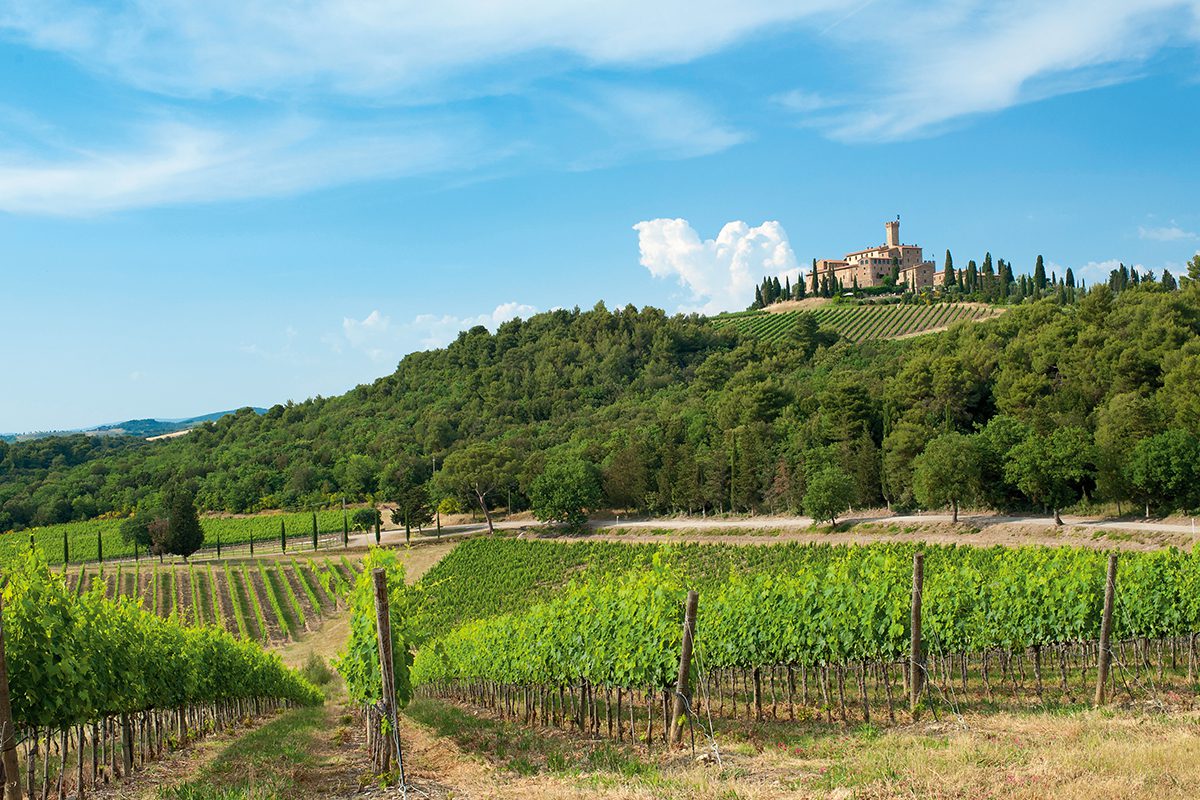 Tuscany Wine Tours — Italy Unfiltered Vineyard & Wine Tour - Tuscany Italy - Banfi